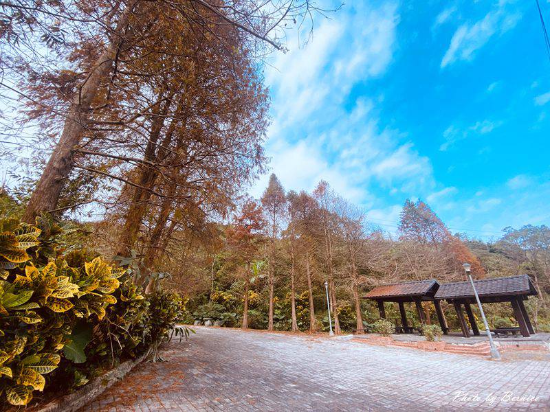 麗山公園落羽松~南港郊山幽靜又唯美落羽松美景夢幻登場 @Bernice的隨手筆記