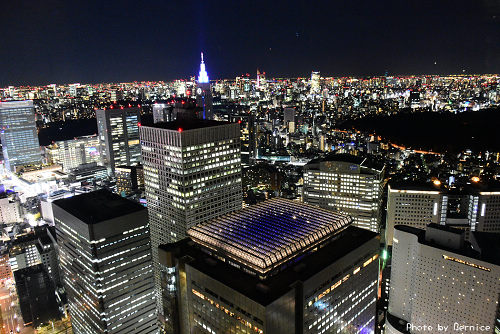 東京都廳觀景室~無料飽覽大東京絶美夜色 @Bernice的隨手筆記