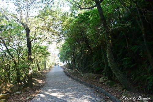 金瓜石地質公園~充滿謎團的石頭陣超人氣但秋芒更勝 @Bernice的隨手筆記