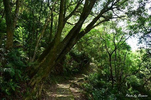 龍船岩步道~走過懸崖峭壁能拍出吸睛網美照.當網美需要有勇氣及克服稜線上的恐懼感 @Bernice的隨手筆記