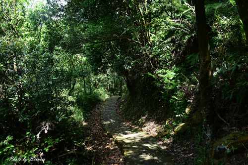 龍船岩步道~走過懸崖峭壁能拍出吸睛網美照.當網美需要有勇氣及克服稜線上的恐懼感 @Bernice的隨手筆記