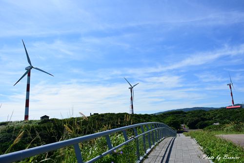 石門風車公園~以最短距離享受山海美景 @Bernice的隨手筆記