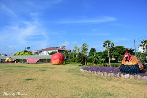 2020桃園蓮花季~花田範圍大又好親近抓準時間拍出網美美照 @Bernice的隨手筆記