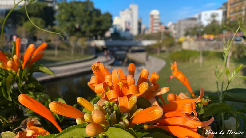 柳川水岸景觀步道~散步賞景消食好去處 @Bernice的隨手筆記