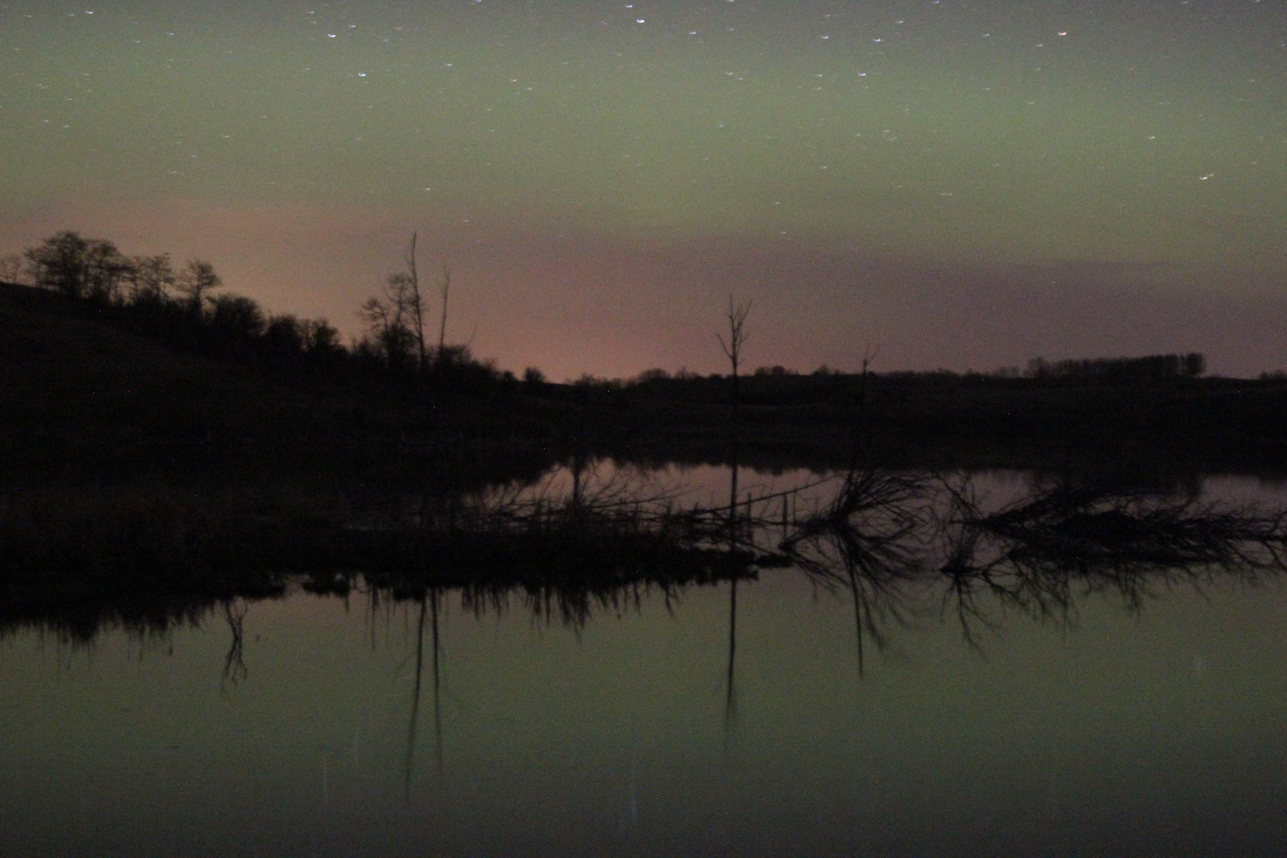 One of Laura’s best shots of the quiet arc that hung out with us. (Photo credit: Laura Mazzino)