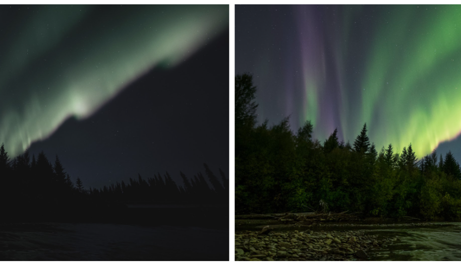 Two photos of aurora against trees. The lefthand photo is more grey and the righthand photo has more color.