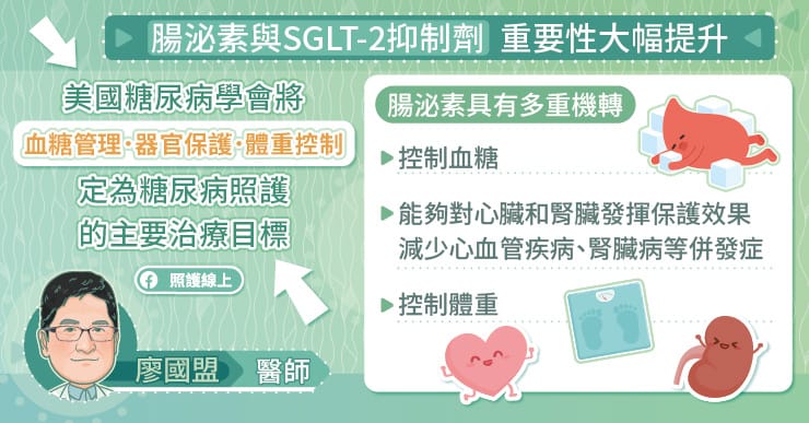 腸泌素與SGLT-2抑制劑，重要性大大提升