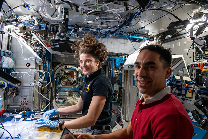 Astronauts Kayla Barron and Raja Chari harvest cotton cell samples