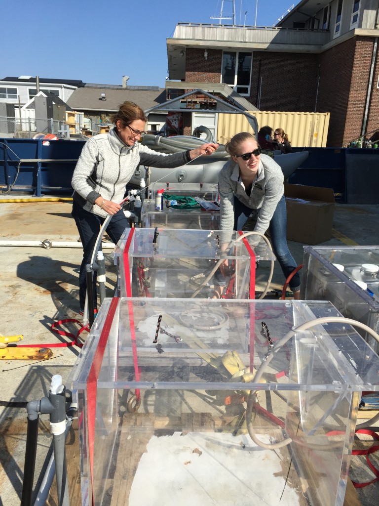 Françoise Morison (left) of the University of Rhode Island and Caitlin Russell, a former intern at the University of Rhode Island, secure incubators to be used for measuring phytoplankton growth rate under various light levels and their consumption by single-celled organisms and viruses. Credit: Stephanie Schollaert Uz/NASA