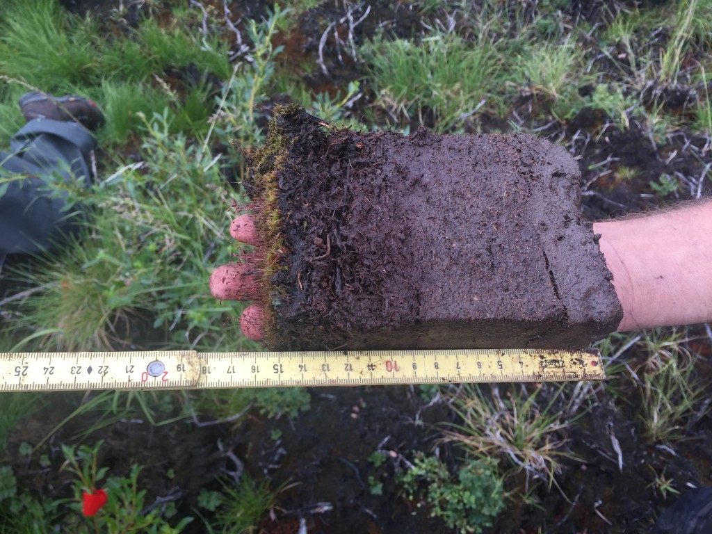 An unburned cross section of tundra soil shows the rich organic layers beneath the surface. Scientists are studying how a much carbon would be released by a severe fire. Credit: Walker/NAU