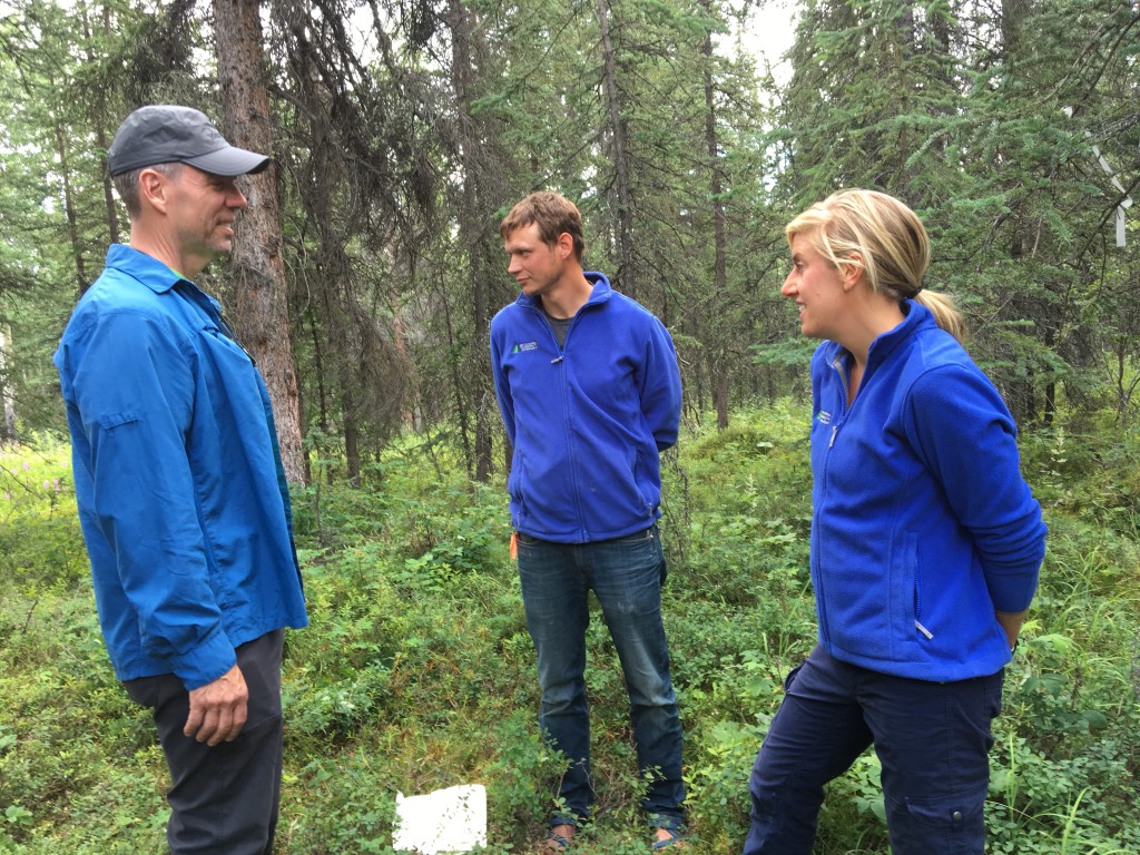 Peter Griffith, Brian Howard and Xanthe Walker discuss field work in Denali National Park to study whether ’legacy carbon’ – carbon that has been stored in the soil for centuries – is being released into the atmosphere in recent, severe fires. Credit: Ramsayer/NASA