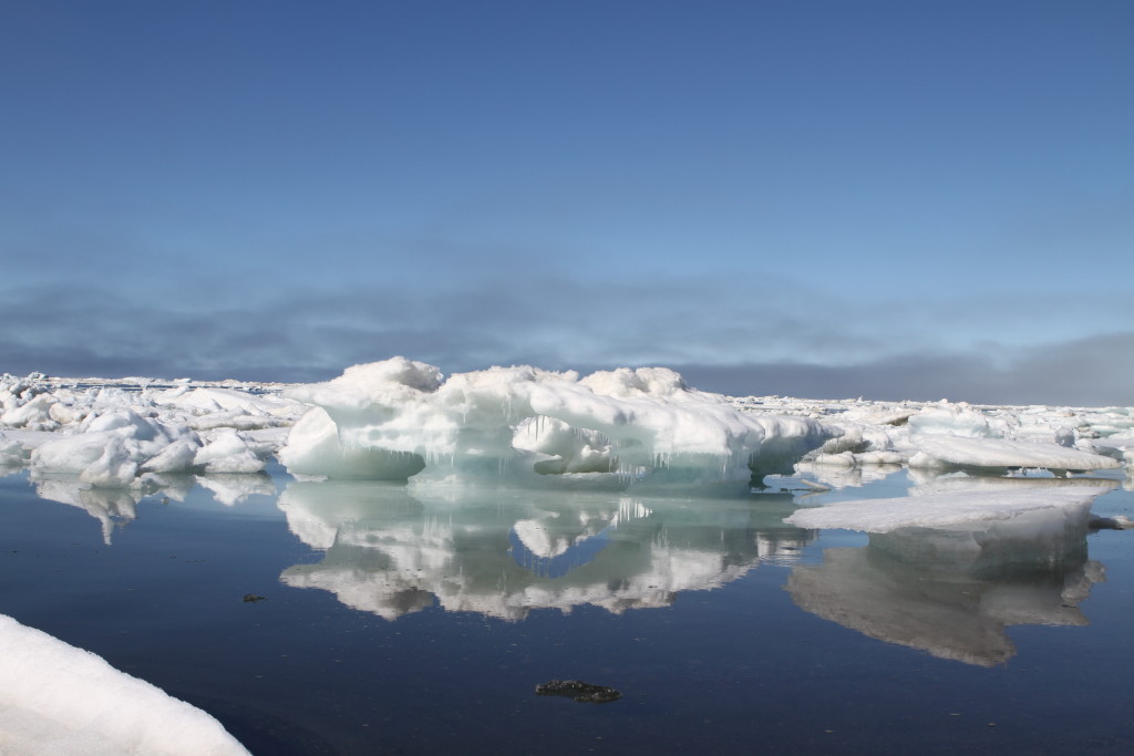 Sea ice melts off the beach of Barrow, Alaska, where Operation IceBridge is based for its Summer 2016 campaign. Credit: NASA/Kate Ramsayer