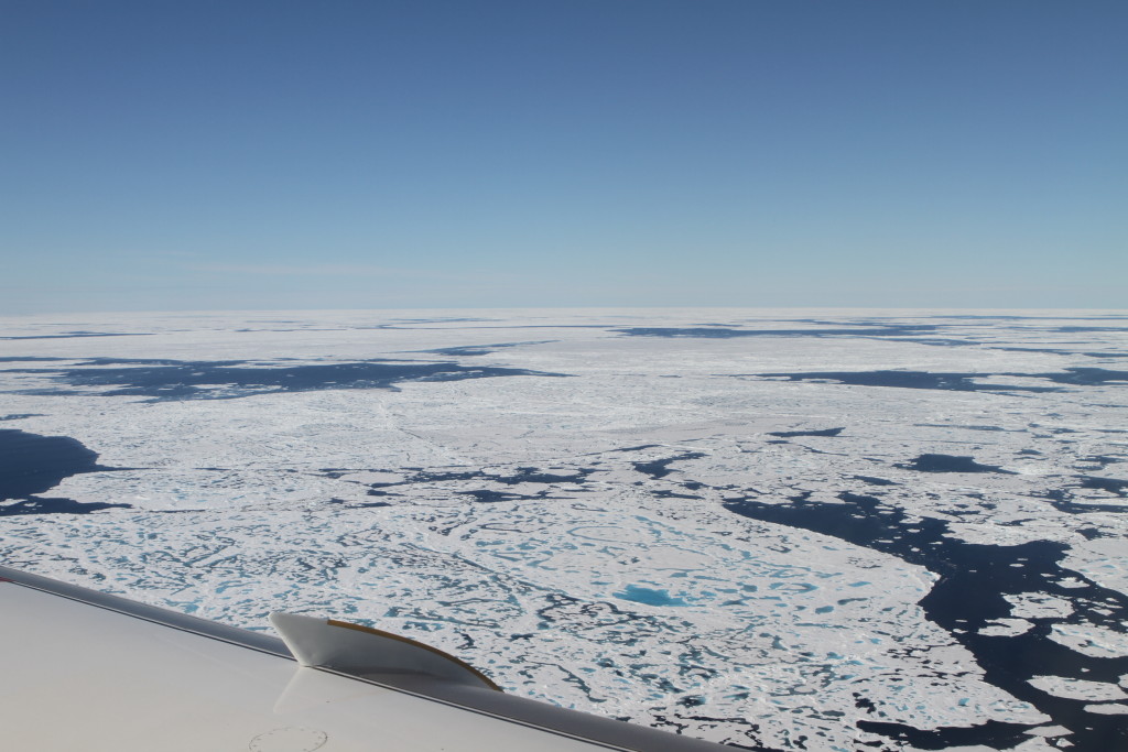 Sea ice from an airplane