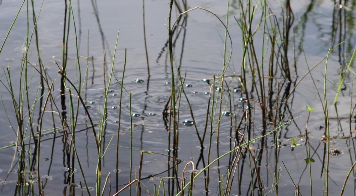 Mapping Methane in a Bubbling Arctic Lake