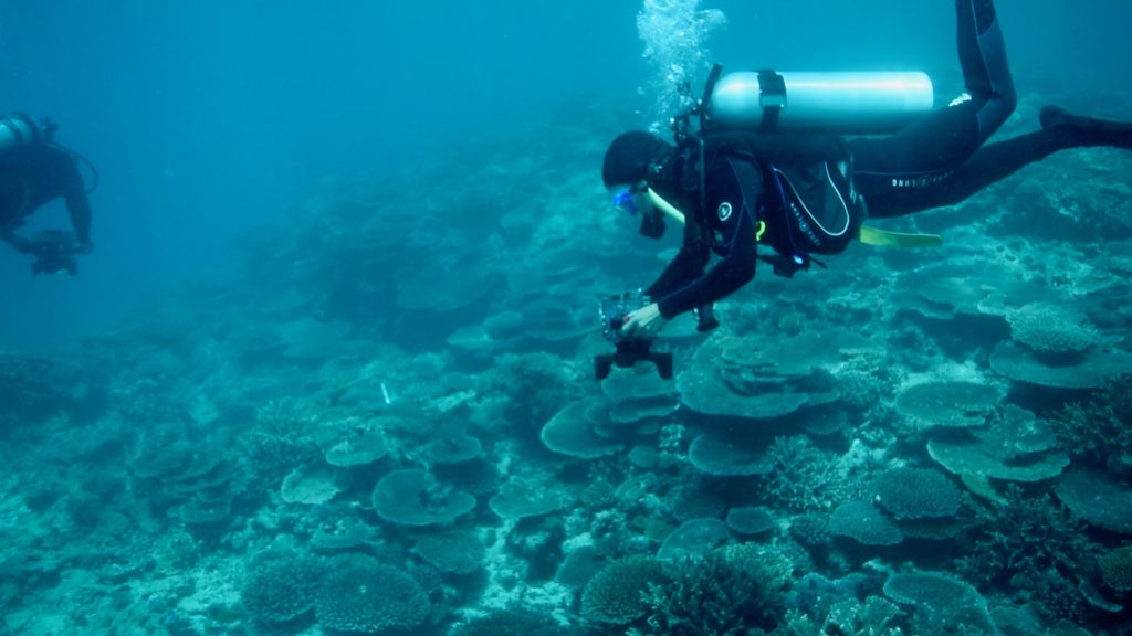 Scientists photographs the sea floor