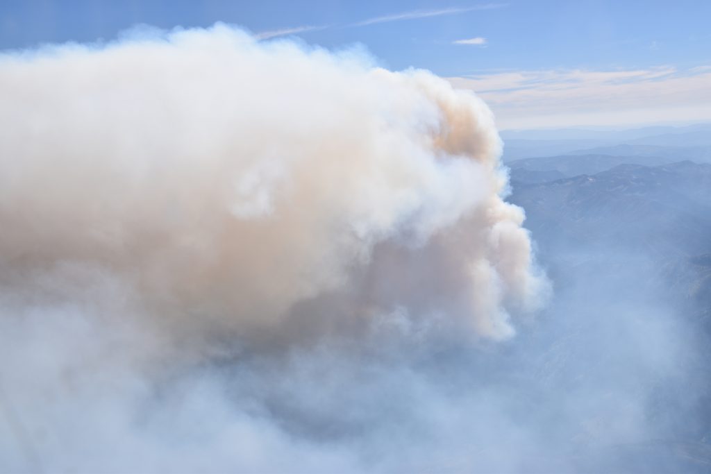 A close up of the Shady Fire's smoke plume during sampling on July 25, 2019. Credit: Bernadett Weinzierl, University of Vienna