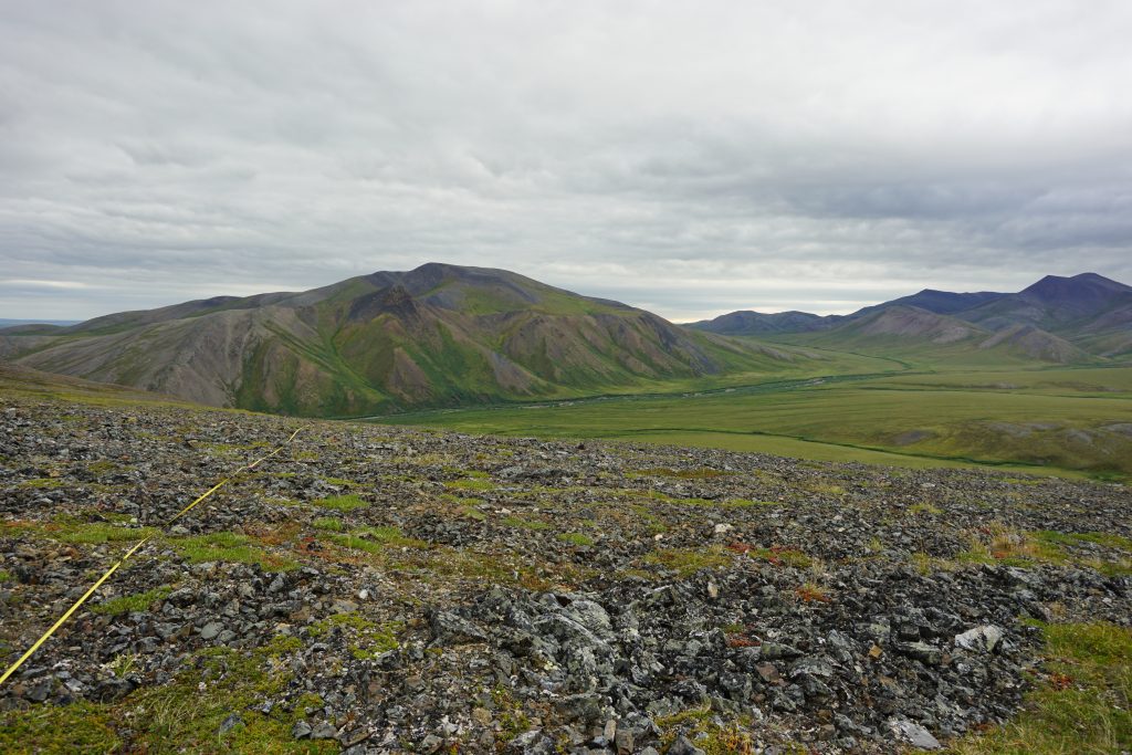 … to bare rocks and hardy lichen … 