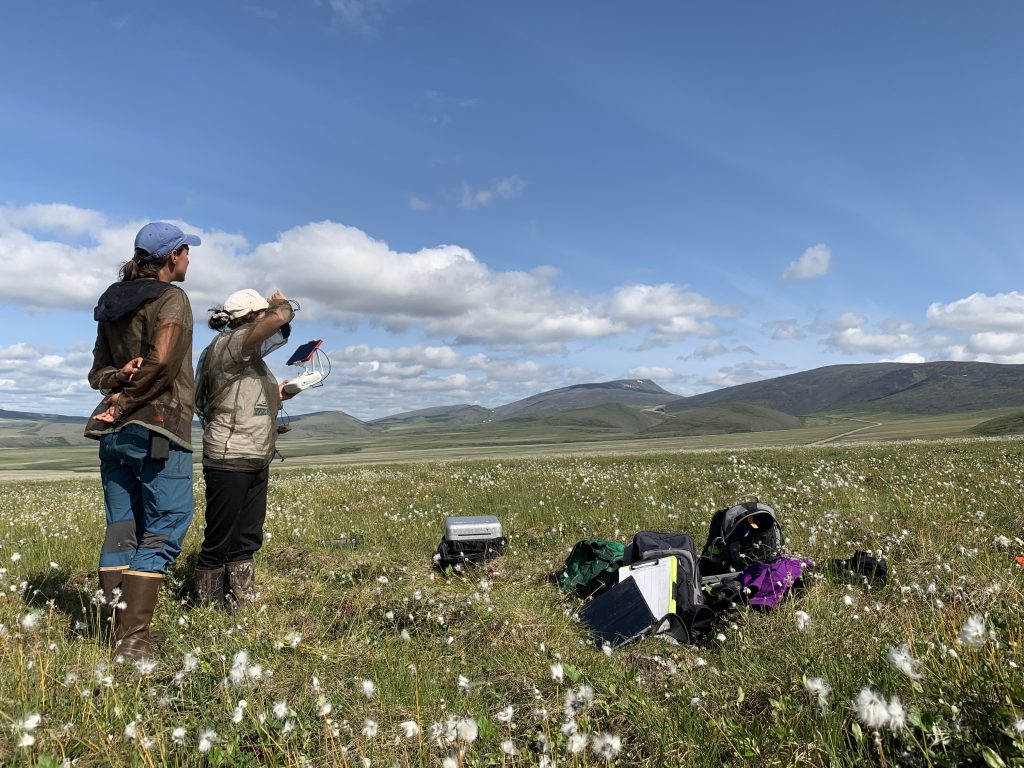 Using an iPad, Katie (left) and Rachel (right) monitor the drone as it completes its flight in a cottongrass tundra. hoto credit: Aerin Jacob