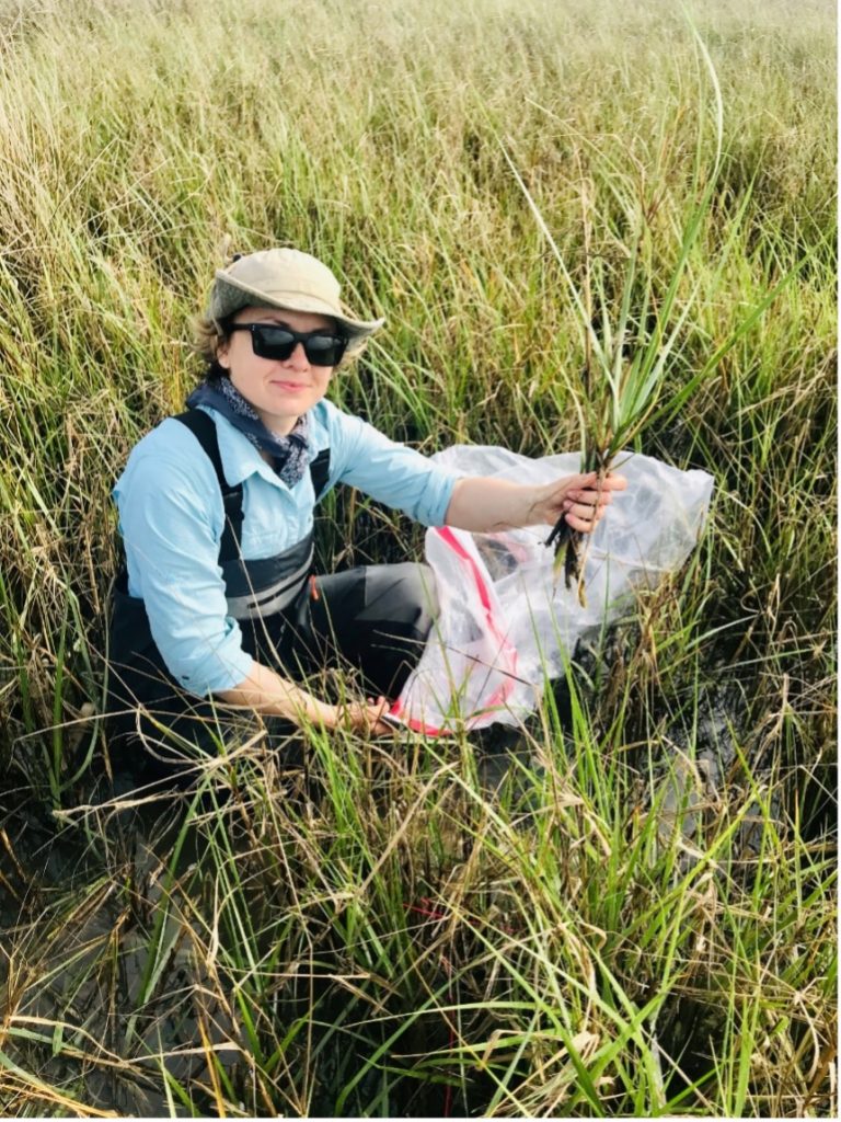 Solohin gathering vegetation samples as part of her field work in coastal Louisiana.