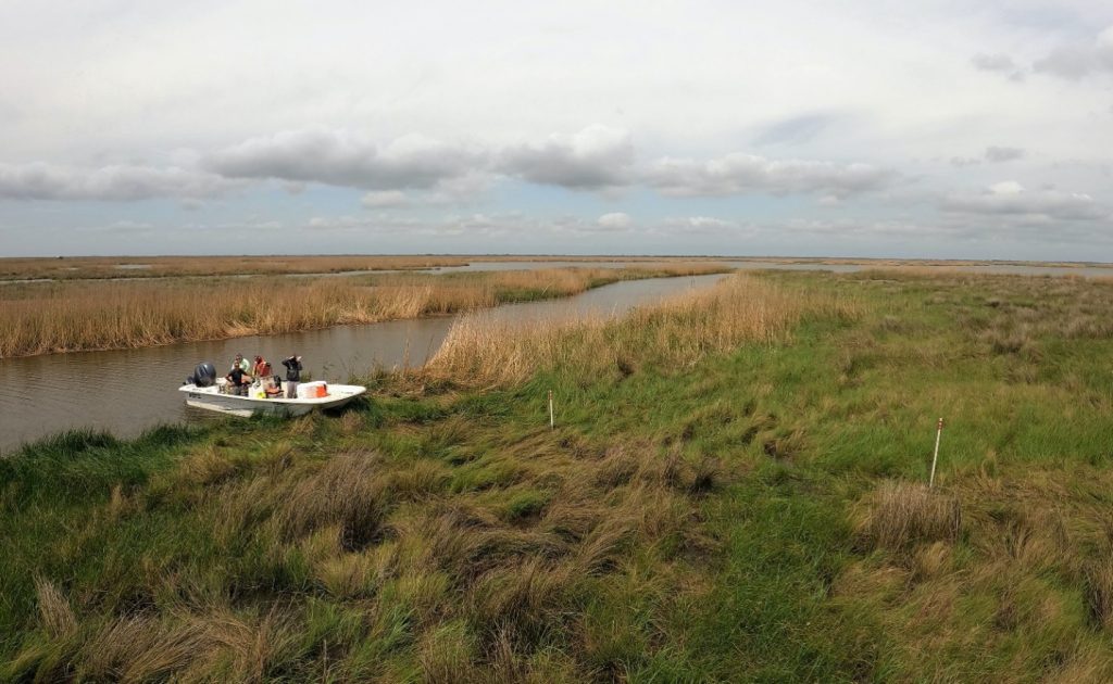 Wide view of coastal Louisiana wetlands taken by Delta-X researchers on an overcast day in March.