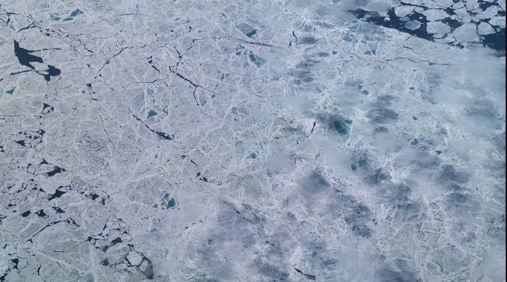 An airplane view of sea ice in mottled white and blue with cracks.