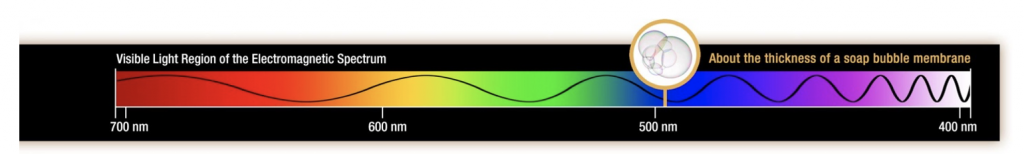 Graphic of visible light portion of the electromagnetic spectrum, with red (longer) on left and white (shorter) at right.