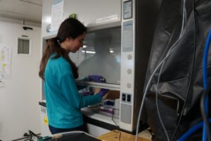 Woman in teal shirt conducts Conductivity, Temperature, and Depth, or CTD, cast to preserve marine samples.