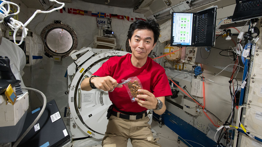 Eye Checks, Fitness Research and Spacewalk Preps for Space Station Crew