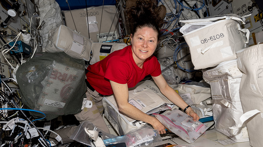 Astronaut Tracy C. Dyson unpacks and examines research gear inside the International Space Station's Columbus laboratory module.