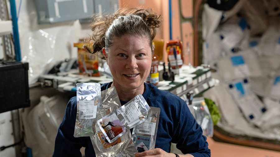 NASA astronaut Tracy C. Dyson shows off food packets from JAXA (Japan Aerospace Exploration Agency) in the space station's galley located in the Unity module.