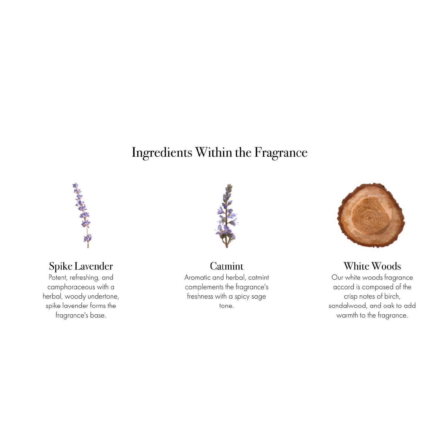 Information related to Lafco Spike Lavender Signature Candle