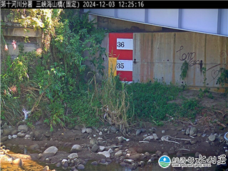 淡水河 海山橋 氣溫22度