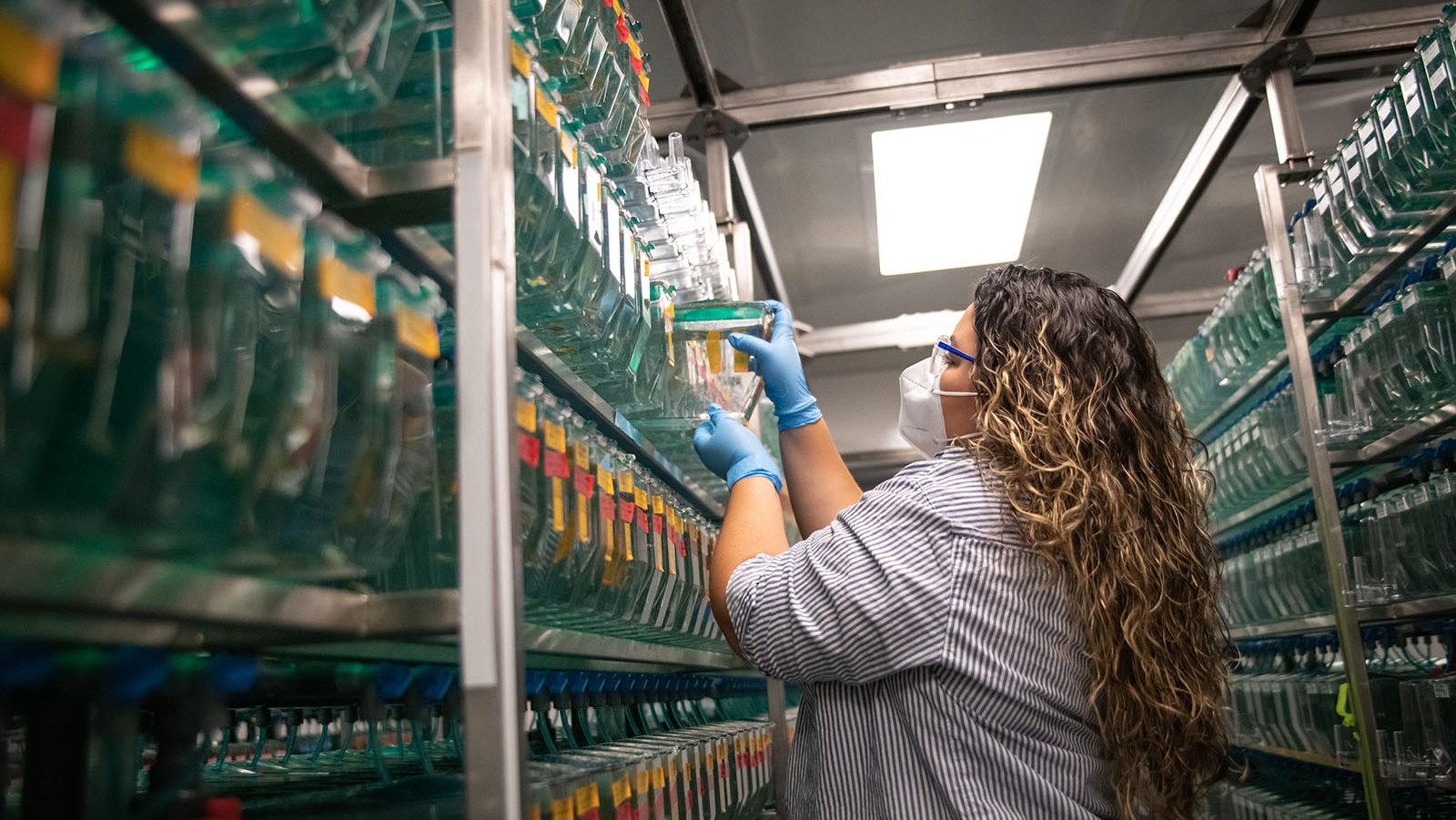 A photo of a woman working in a Caltech lab