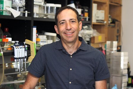 A portrait of Michael Elowitz. He wears a short-sleeve button-down shirt and is in his lab.