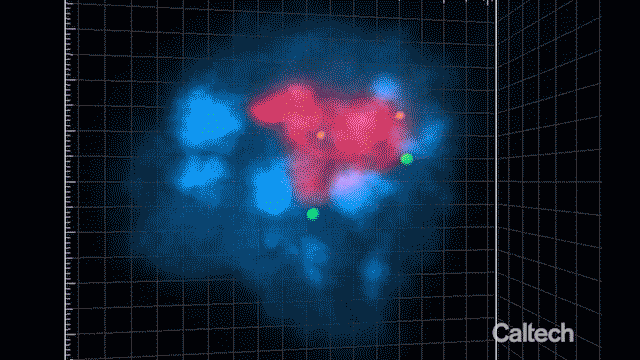 A gif of 3D regions of of the nucleus visualized with SPRITE.