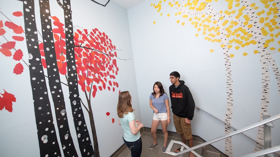 Students talking near murals of trees at Lloyd House