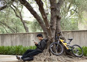 student reclining by tree