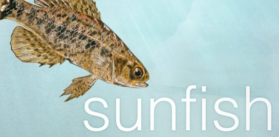 Sunfish logo