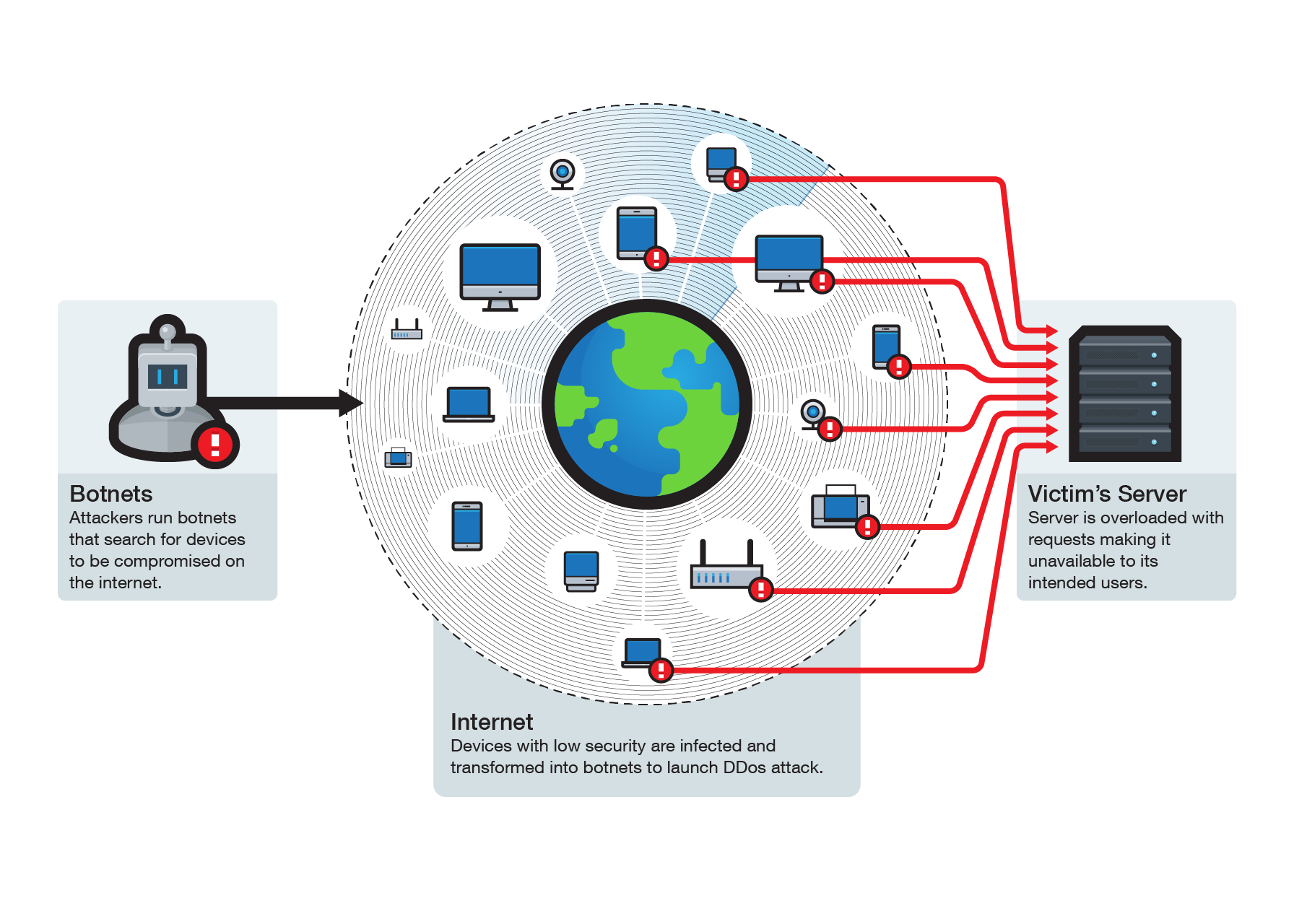 IoT Botnet