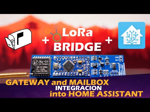 LORA video by Priceless Toolkit