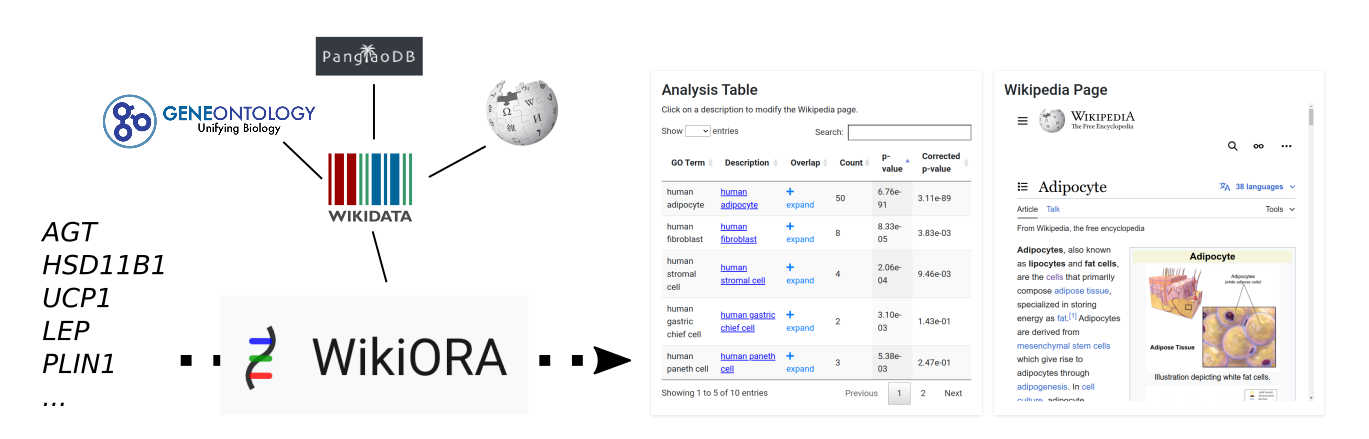 WikiORA Example Workflow