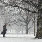 Wintry scene showing single figure with umbrella walking between trees and battling the snow and wind.