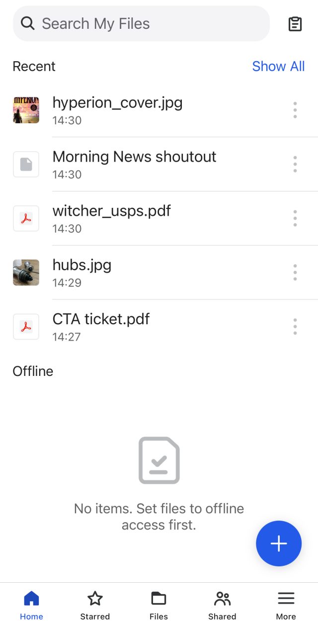 Screenshot of BeeFiles app on an iPhone, with files including "witcher_usps.pdf," "hubs.jpg," and "CTA ticket.pdf" shown in a vertical list.