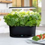 A marketing image for the AeroGarden Bounty.