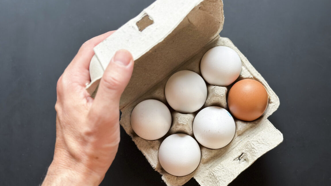 High angle view of hand opening eggs cardboard box