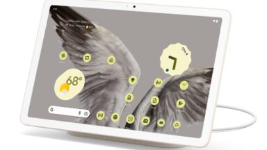 A Pixel Tablet, showing a bunch of yellow app icons and widgets, with bird wings as a background.