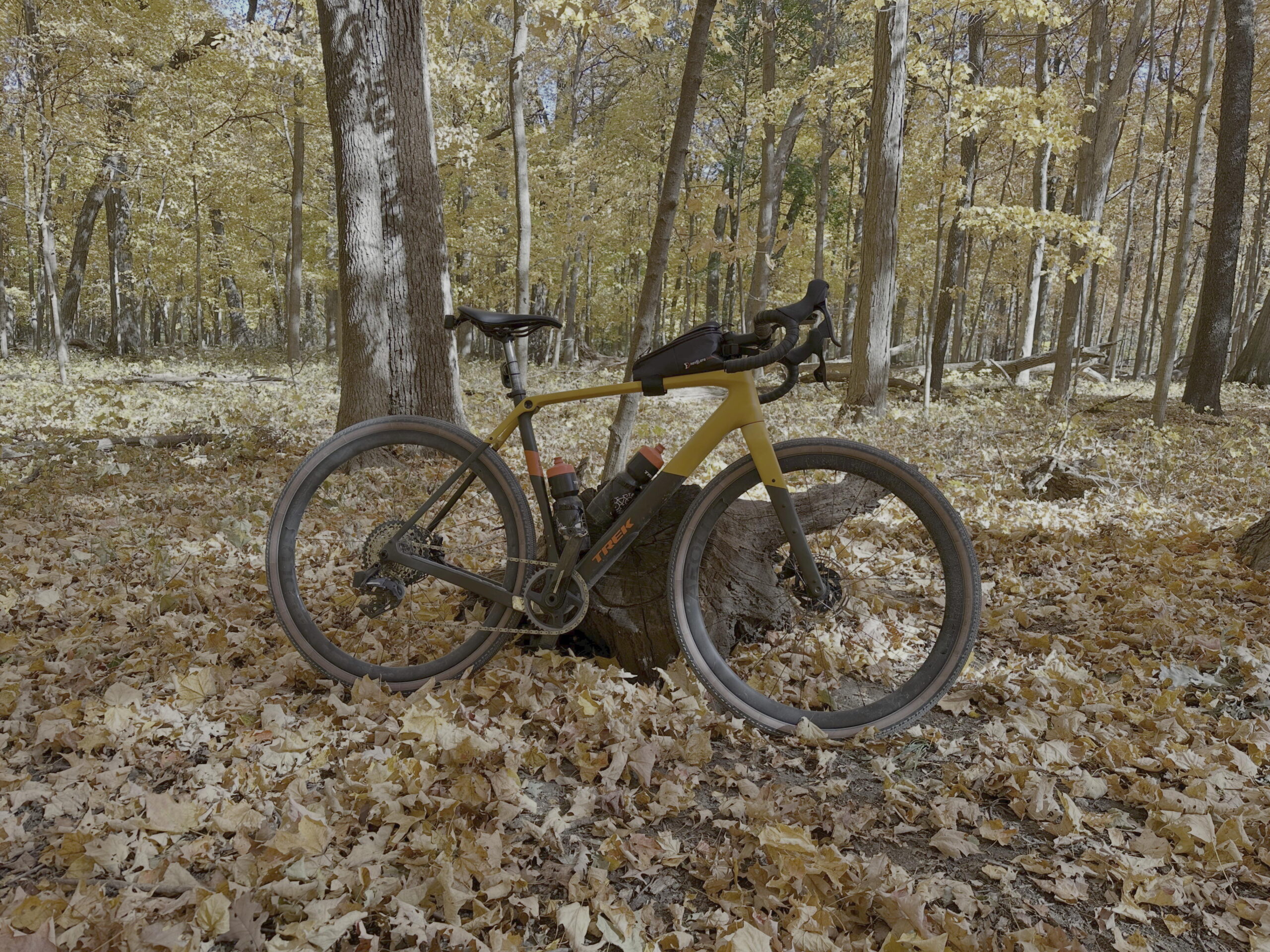 Bike in the forest