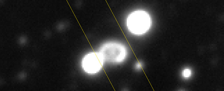 Supernova SN 1987A