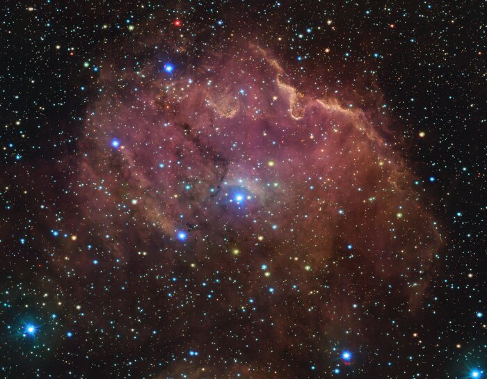 The image shows a big nebulous cloud called GUM 39 at the centre, taking up most of the frame. The nebula is very opaque and bright pink at the top and more translucent towards the bottom. One very bright blue star is visible in the middle of the nebula as well as three smaller blue ones to the left of it. Three bright blue stars are also visible at the bottom of the image. The dark background is full of small stars in different colours.