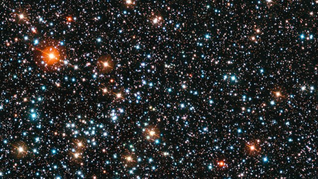 The rich star cluster IC 4651